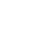 Magento Developer in India